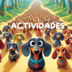 Actividades