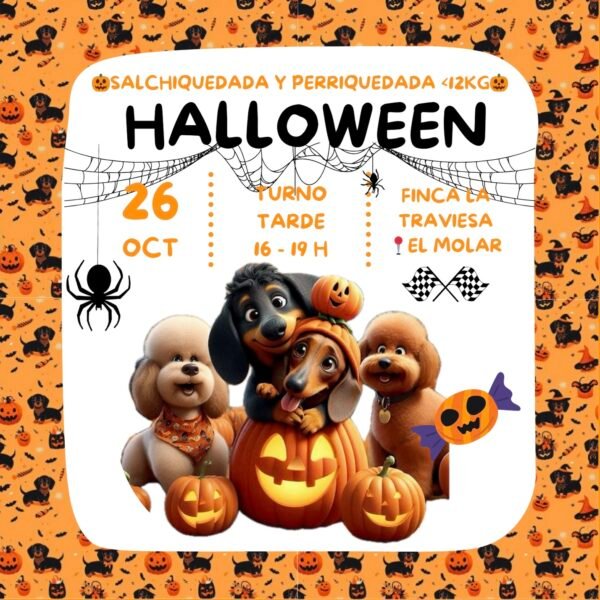 🐾Entrada persona 🎃Halloween 2024🎃 Tarde 16-19h🌭