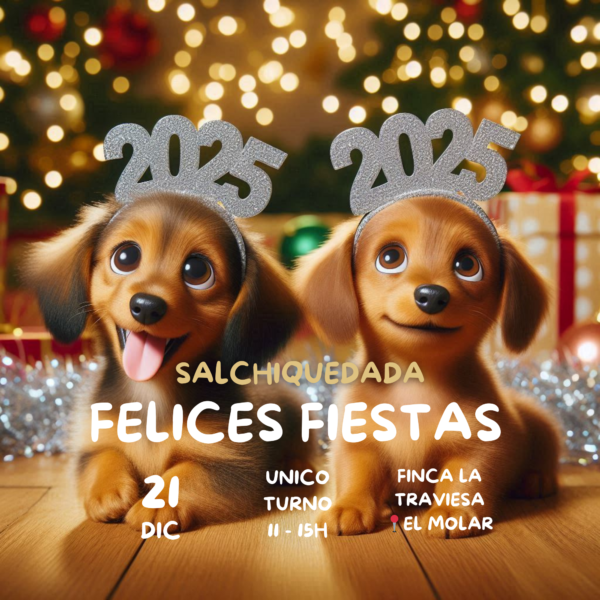 Entrada basica persona 🥂Felices fiestas 2024 🥂11-15h