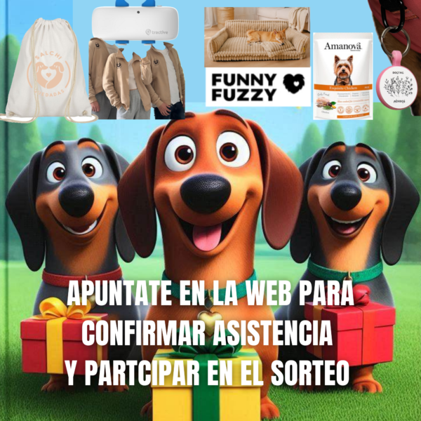 ENTRADA SORTEO + REGALO - SalchiRuta - Carnaval - Parque Juancar I - 2/3 - 11h - Imagen 4