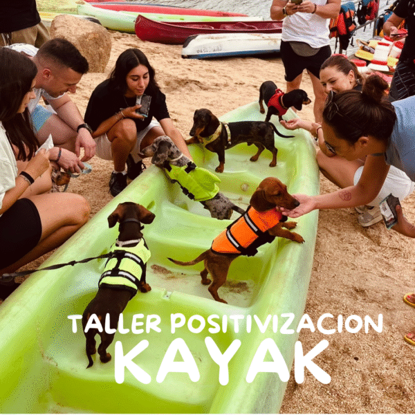 ¡Kayak con tu salchicha en el Pantano de San Juan! Junio 2025 Turno 2 de 12 a 14:30h - Imagen 3