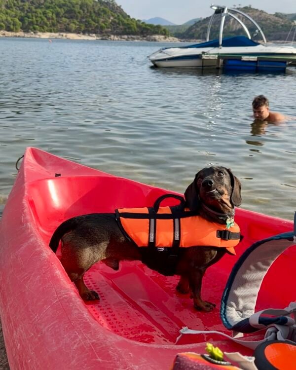 ¡Kayak con tu salchicha en el Pantano de San Juan! Junio 2025 Turno 2 de 12 a 14:30h - Imagen 5