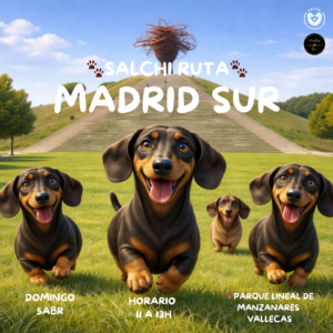 🌭SALCHI RUTA 🌭MADRID SUR 2026🌭