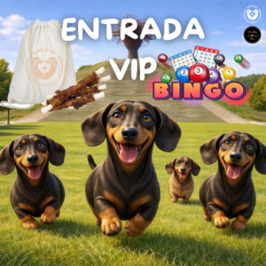Entrada perrito VIP BINGO PACK🌭SALCHI RUTA 🌭MADRID SUR 2026🌭