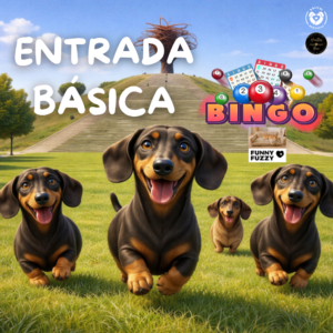 Entrada perrito BASICA BINGO🌭SALCHI RUTA 🌭MADRID SUR 2026🌭
