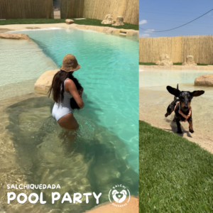 POOL PARTY - JULIO 2026