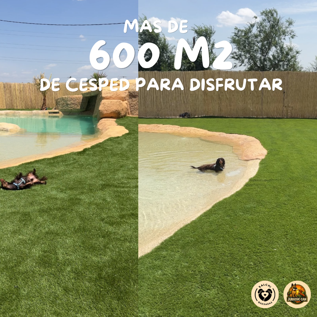 Entrada persona🌭 Turno mañana 11-14h🌭POOL PARTY 🌭JULIO 2026 - Imagen 2