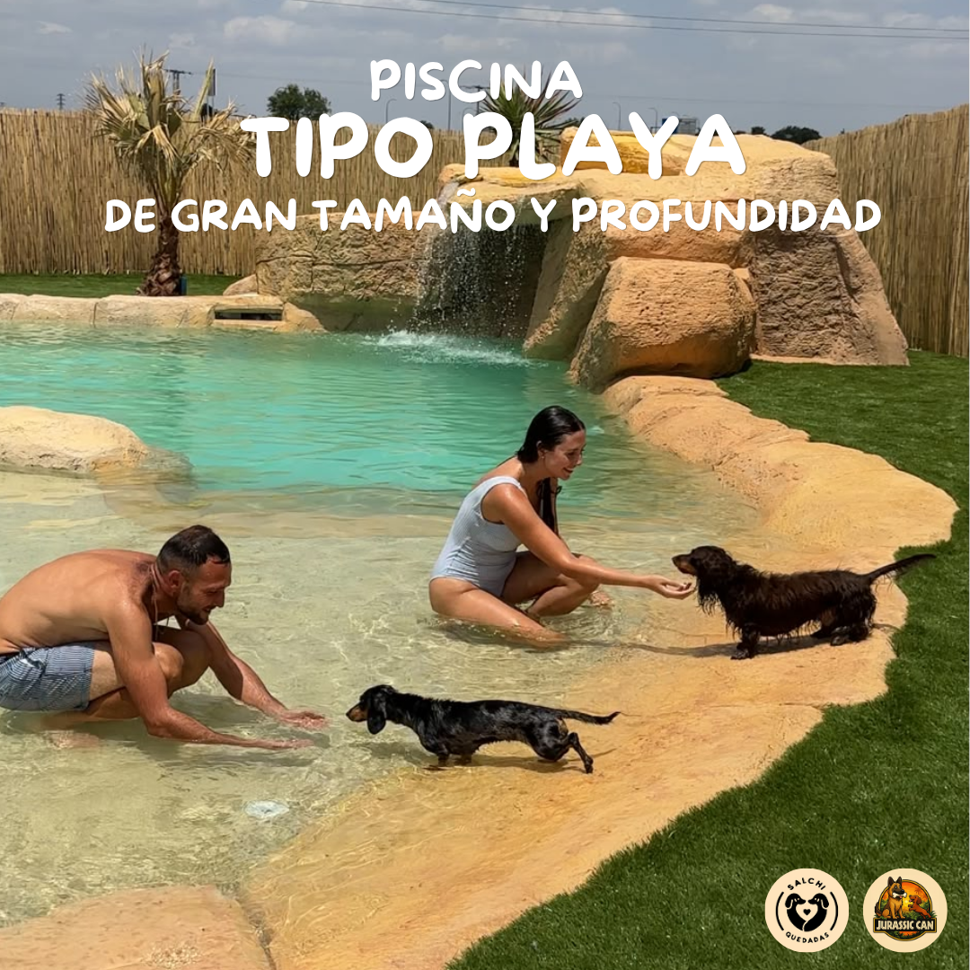 Entrada persona🌭 Turno mañana 11-14h🌭POOL PARTY 🌭JULIO 2026 - Imagen 4