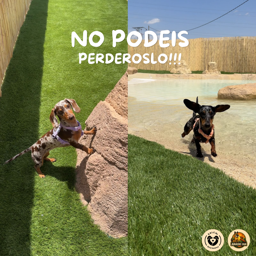 Entrada persona🌭 Turno mañana 11-14h🌭POOL PARTY 🌭JULIO 2026 - Imagen 3