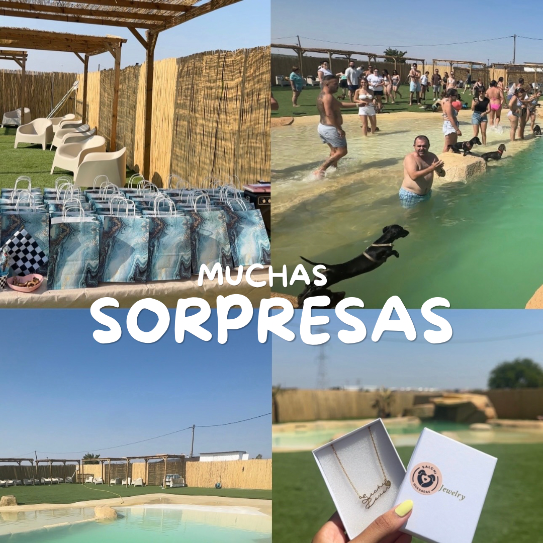 Entrada persona🌭 Turno mañana 11-14h🌭POOL PARTY 🌭AGOSTO 2026 - Imagen 2