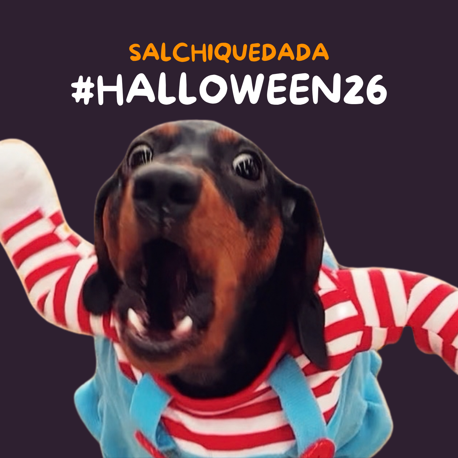 SALCHIQUEDADA🌭 Hallowiener 2026🎃 - Imagen 7